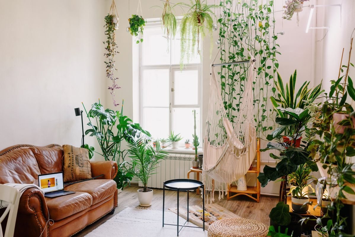 Bright natural light flowing through a clean window into a small living room with a mirror nearby